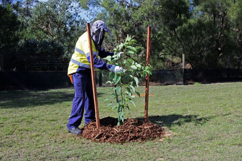 Bush Planting Service