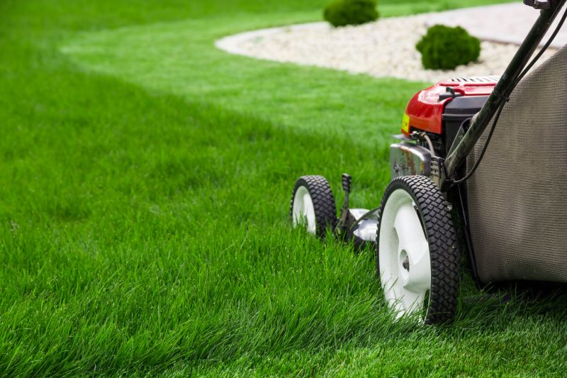 Lawn Repair Service detail