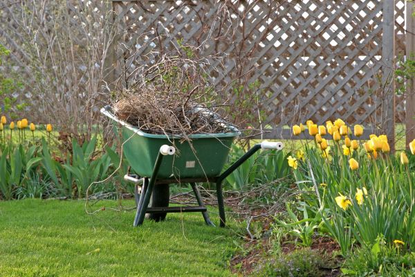 Flower Bed Cleanup Service in Elk Grove