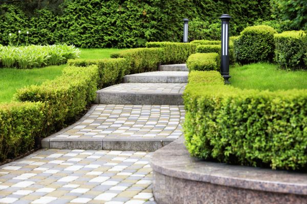 Backyard Remodeling in Elk Grove