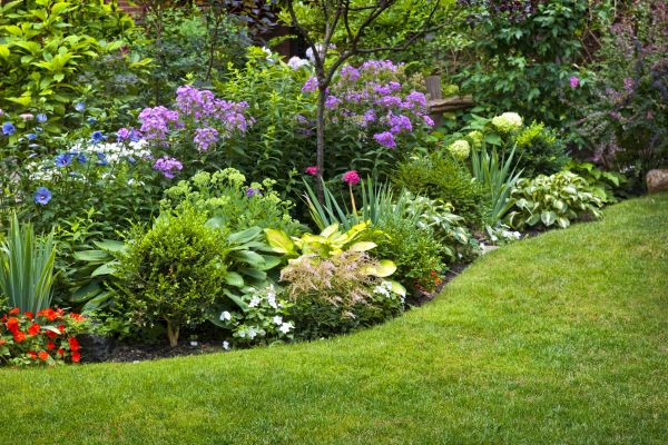 Flower Bed Service in Elk Grove