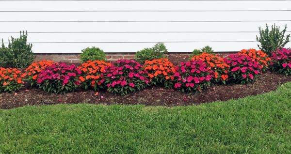 Flower Bed Weeding Service in Elk Grove