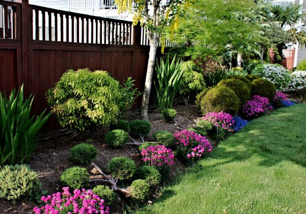 Garden Care Service in Elk Grove