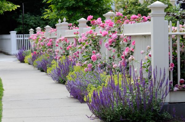 Garden Handyman Service in Elk Grove