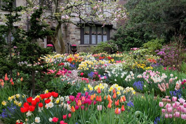 Garden Maintenance Service in Elk Grove