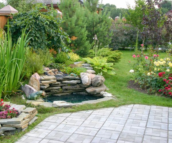 Landscaping Design Service in Elk Grove
