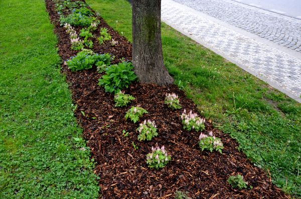 Mulch Replacement Service in Elk Grove