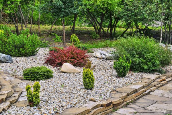 Rock Landscaping in Elk Grove