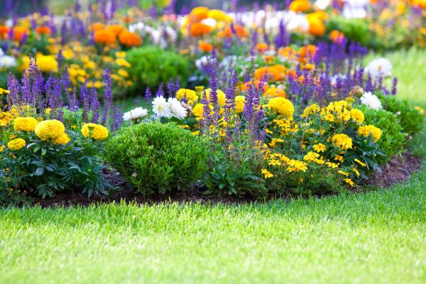 Garden Installation in Elk Grove