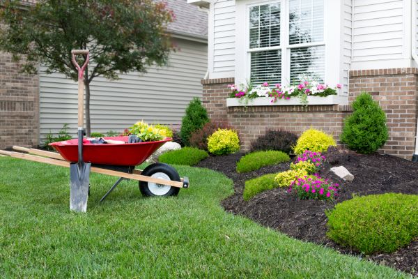 Landscape Maintenance Service in Elk Grove