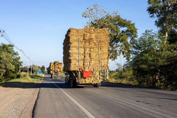 Pine Straw Delivery in Elk Grove