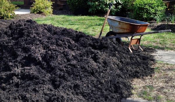 Black Mulch Delivery in Elk Grove