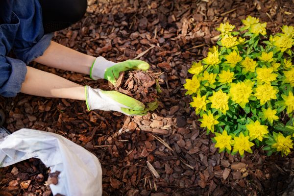 Garden Mulching in Elk Grove