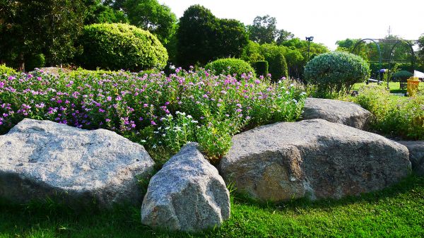 Boulder Landscaping in Elk Grove
