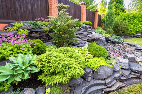Landscape Remodeling in Elk Grove