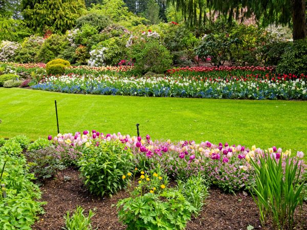 Residential Landscape Design in Elk Grove