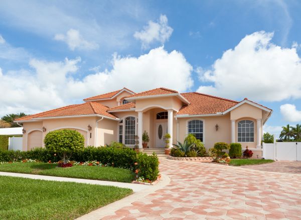 Landscape Curb Appeal Service in Elk Grove