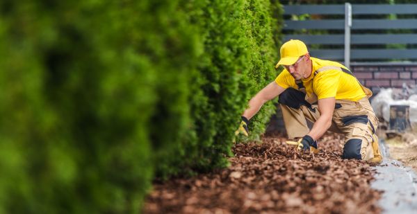 Cypress Mulch Installation in Elk Grove