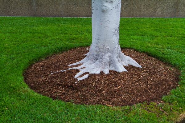 Brown Mulch Installation in Elk Grove
