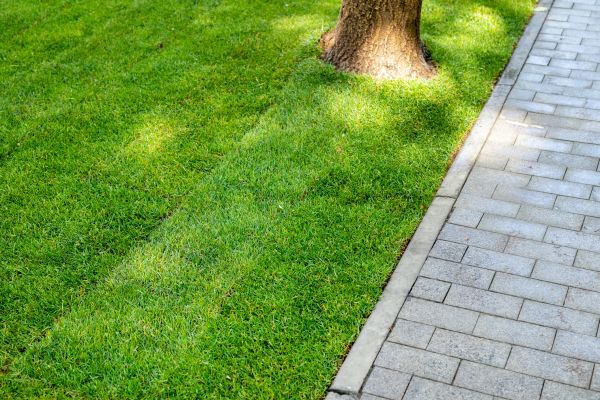 Border Stone Installation in Elk Grove