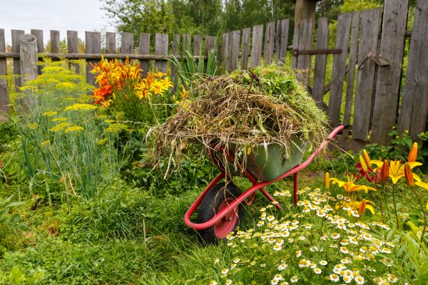 Garden Cleanup Service in Elk Grove