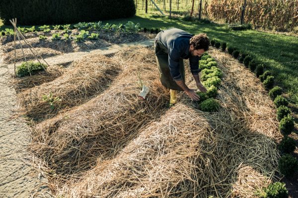 Straw Mulching Service in Elk Grove