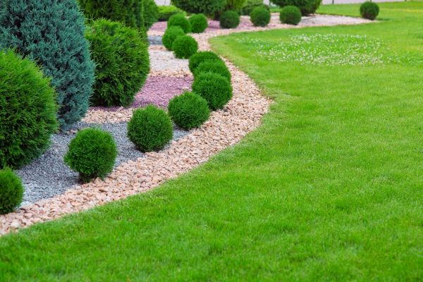Edging Stones Installation in Elk Grove