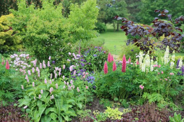 Flower Bed Planting in Elk Grove