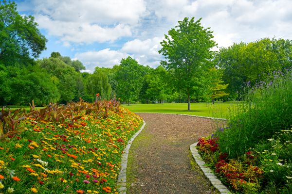 Park Landscaping in Elk Grove