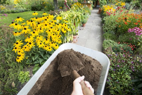 Topsoil Replacement in Elk Grove