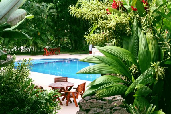 Pool Area Landscaping in Elk Grove