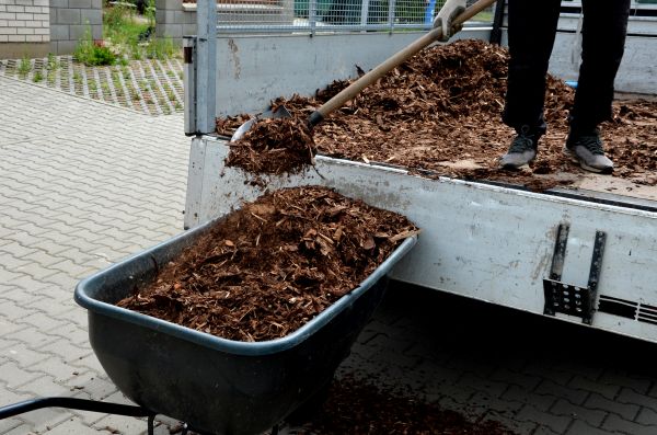 Playground Mulch Delivery in Elk Grove