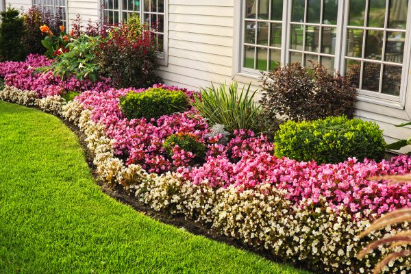 House Landscaping in Elk Grove