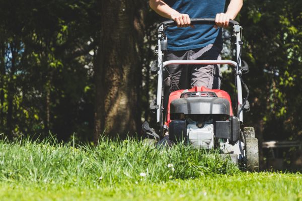 Garden Trimming Service in Elk Grove