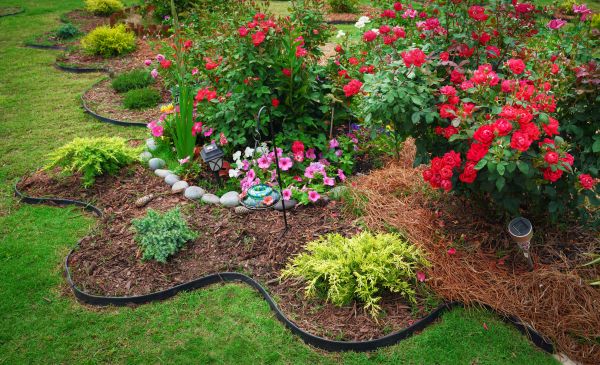 Floral Landscaping in Elk Grove