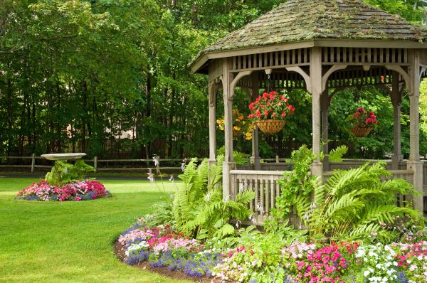 Backyard Landscaping Service in Elk Grove