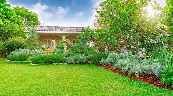 Greenery Planting in Elk Grove