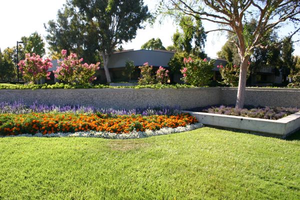 Commercial Landscape Service in Elk Grove