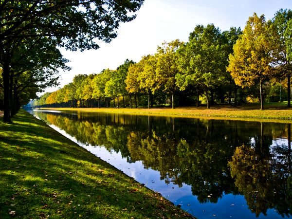 Bank Landscaping in Elk Grove