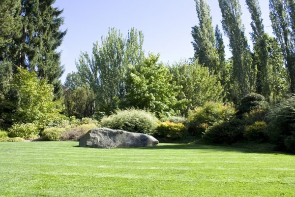 Yard Enlargement in Elk Grove