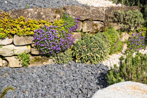 Landscaping Rocks Installation in Elk Grove