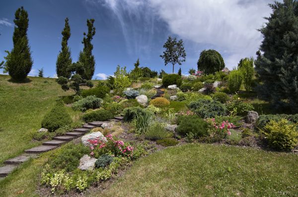Steep Terrain Landscaping in Elk Grove