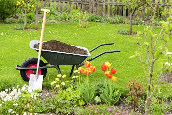 Spring Yard Renovation in Elk Grove