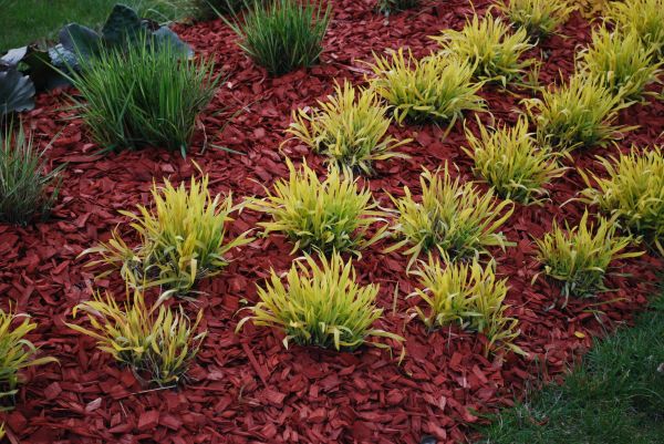 Red Mulch Installation in Elk Grove