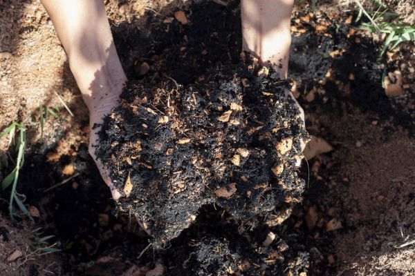 Organic Mulch Installation in Elk Grove