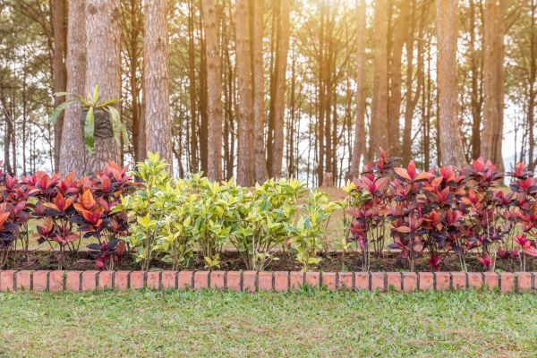 Small Garden Landscaping in Elk Grove
