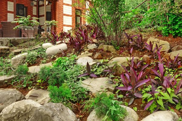Rock Garden Landscaping in Elk Grove