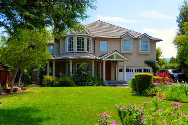 Large Yard Landscaping in Elk Grove