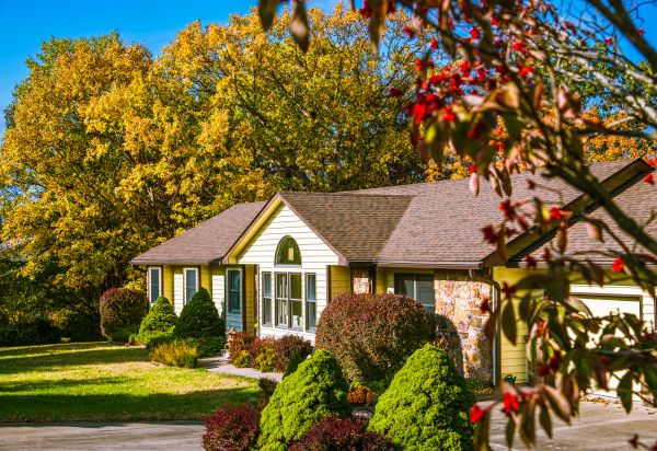 Ranch Landscaping in Elk Grove