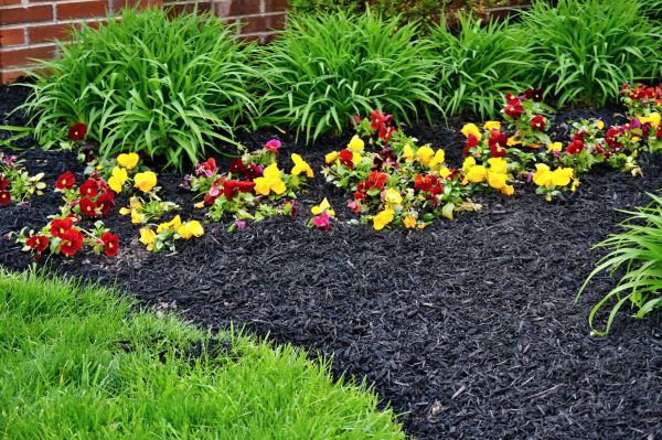 Apartment Mulching in Elk Grove